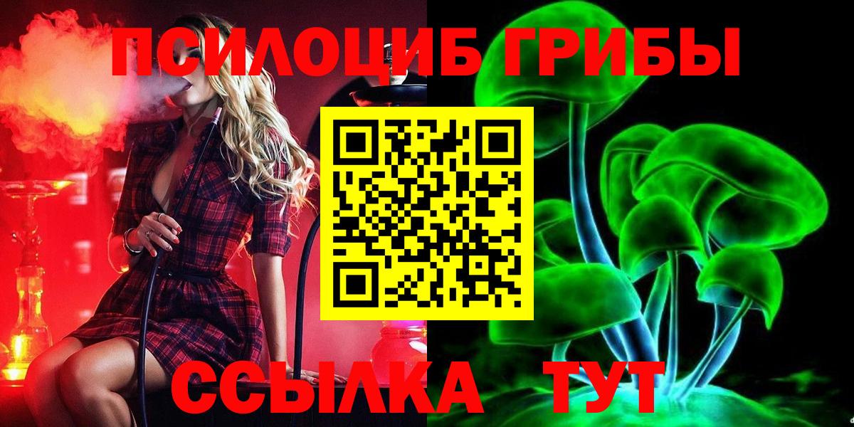 Галлюциногенные грибы мухоморы  Вход с VPN  где купить наркоту  Галлюциногенные грибы Psilocybe  Выкса 