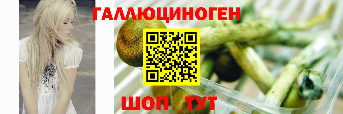 Галлюциногенные грибы Psilocybe Выкса